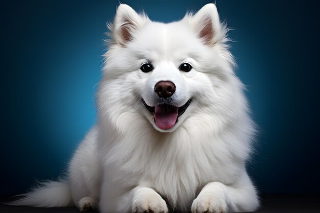 Foto retrato de perros blancos rodeados por una paleta colorida