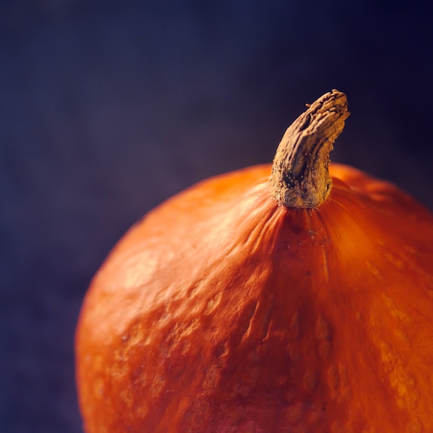 Un retrato del primer de una calabaza en un fondo concreto