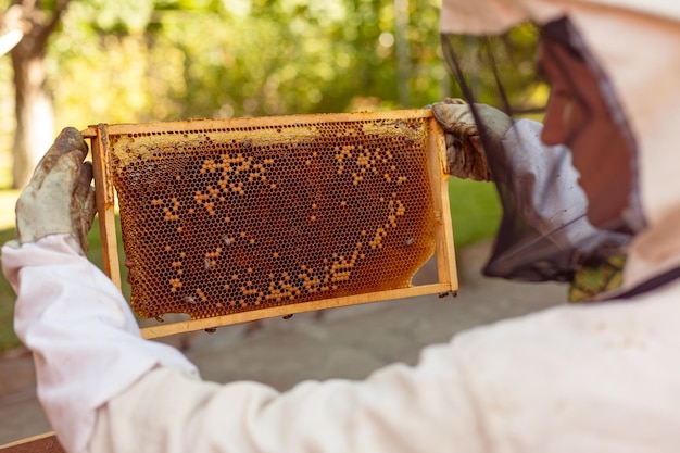 Foto retrato de primer plano de apicultor sosteniendo un panal lleno de abejas apicultor en ropa de trabajo protectora ins