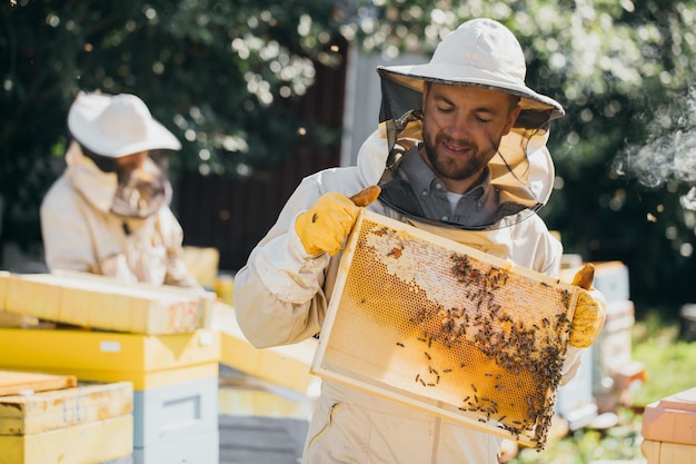 Retrato de primer plano de apicultor sosteniendo un panal lleno de abejas Apicultor en ropa de trabajo protectora inspeccionando el marco de panal en el apiario Concepto de apicultura