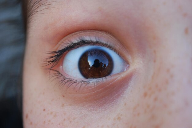 Retrato recortado de mulher com olhos castanhos