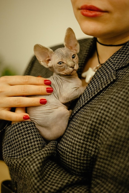 Foto retrato recortado de uma jovem sorridente segurando um gatinho esfinge em seus braços