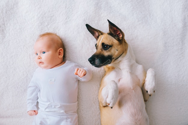 Retrato superior del bebé recién nacido acostado con gracioso cachorro en la cama.