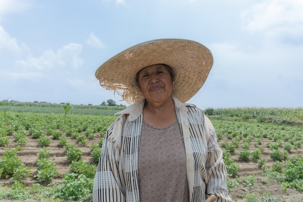 Un retrato de un trabajador agrícola de cebolla en el campo durante el día