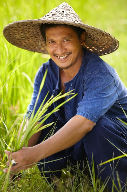 Retrato de un trabajador en los campos de arroz de Tailandia Retrato de un trabajador en los campos de arroz de Tailandia