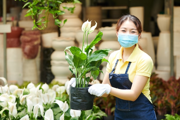 Retrato de trabajador del mercado de plantas positivas en máscara médica y guantes textiles con flor de spathiphyllum floreciente