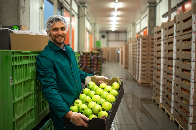 Retrato de trabajador sosteniendo la caja llena de manzanas verdes en el almacén de la fábrica de alimentos orgánicos.