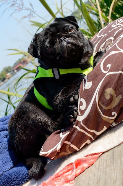 Retrato de un trapeador negro cerca del río.