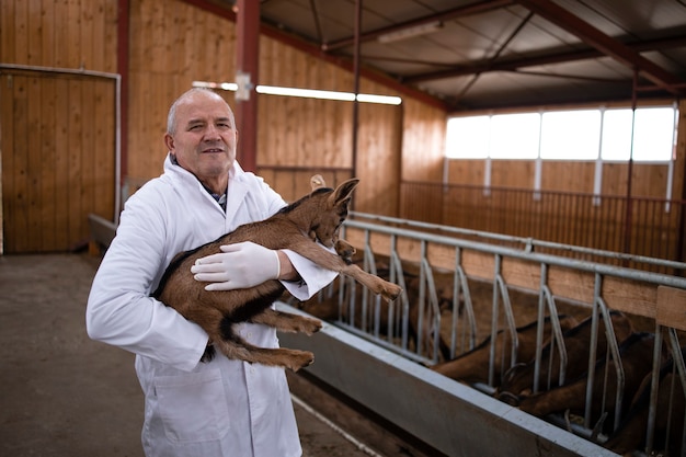 Retrato de veterinario en bata blanca de pie en el establo de la granja y sosteniendo un animal doméstico de cabrito de cabra