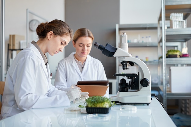 Retrato de vista lateral de dos científicas sosteniendo una placa de Petri mientras examinan muestras de plantas durante la investigación de laboratorio, espacio de copia