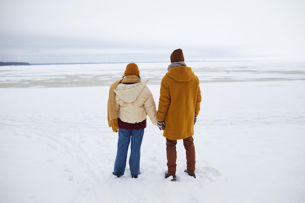 Retrato de vista posterior de una pareja joven de pie junto al mar congelado y con vistas al paisaje invernal mínimo c