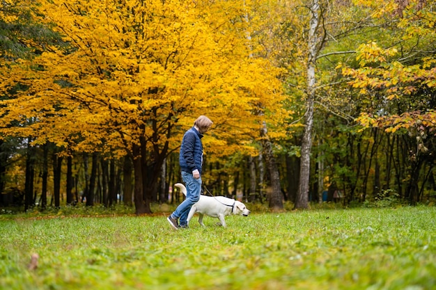 Retriever e o homem estão correndo no parque. folhas douradas nas árvores. outono fabuloso.