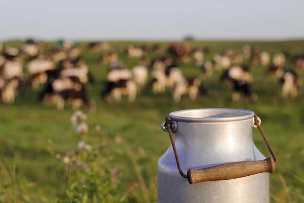 Retro-Dose für Milch mit Kühen, die im Hintergrund Klee essen