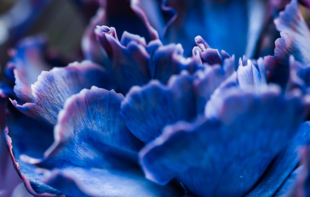 Retro kunst vintage karte und botanisches konzept abstrakter floraler hintergrund blaue nelke blume makro...