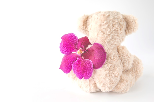 Retrovisor de un lindo oso de peluche está sentado con una flor de orquídea