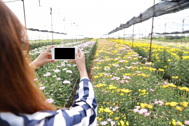 Retrovisor mulher asiática tirando foto de produtos de flores de crisântemo de telefone celular