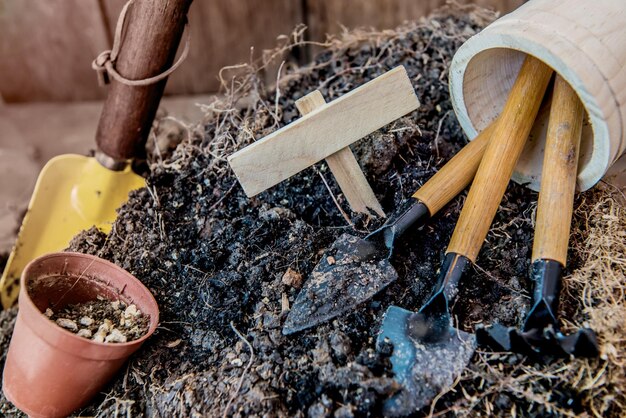 Rette die Erde für den Arbor Day