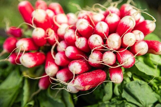 Rettich frisches Gemüse Bio-Lebensmittel Snack im Freien Textfreiraum Lebensmittel Hintergrund Veggie Vegan