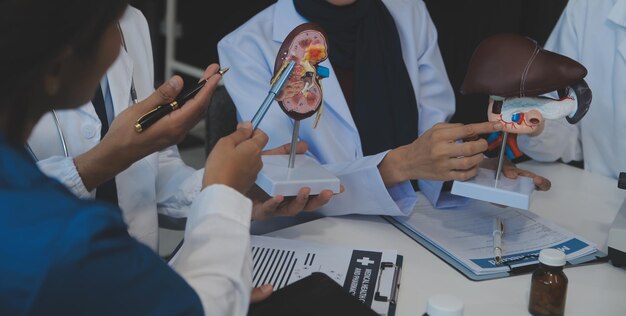 Foto reunião médica e portátil para equipe no escritório em discussão brainstorming e planejamento médico enfermeiro e computador na mesa trabalho em equipe ou oficina para modelo órgão interno