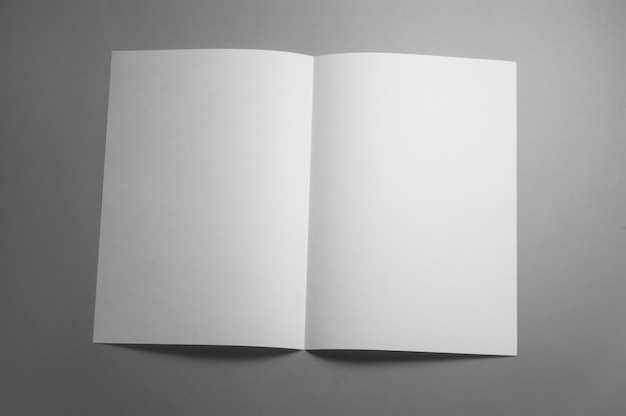Revista folleto en blanco aislado en gris