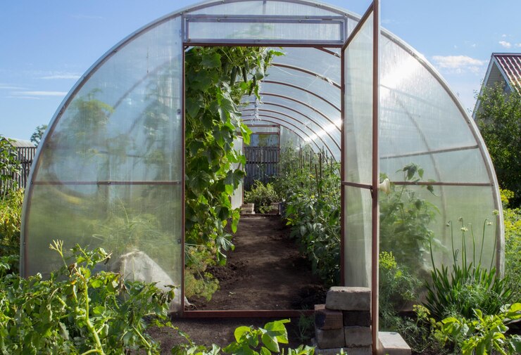 Revolucionando la agricultura El futuro de la producción de alimentos con la tecnología de invernadero