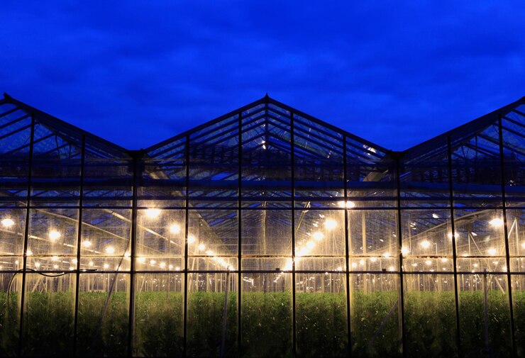 Revolucionando la agricultura El futuro de la producción de alimentos con la tecnología de invernadero