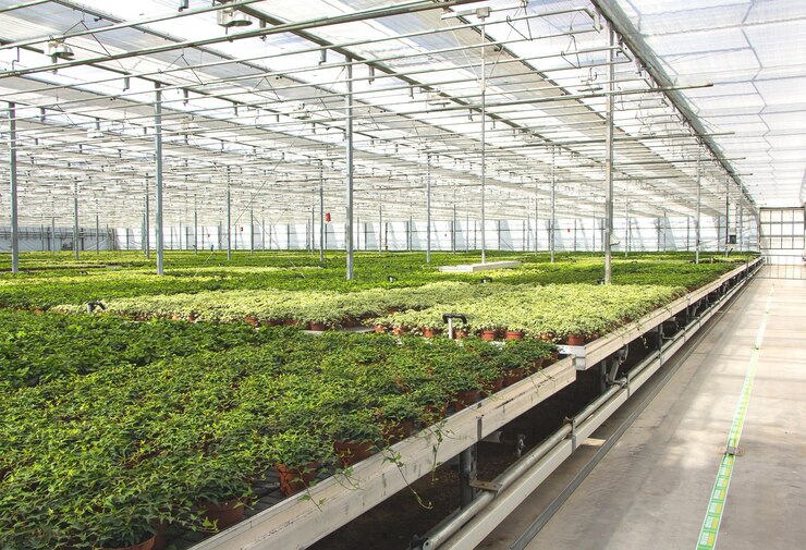 Revolucionando la agricultura El futuro de la producción de alimentos con la tecnología de invernadero