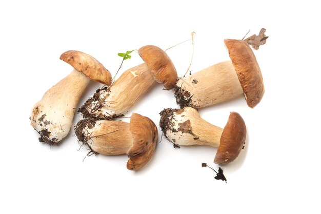 Foto el rey bolete aislado sobre un fondo blanco es comida de dieta vegetariana