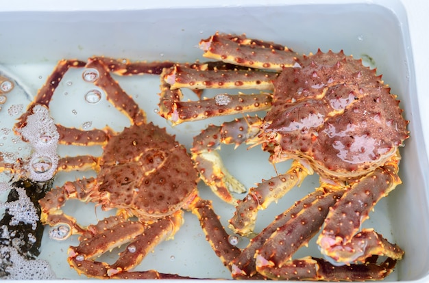 Rey cangrejo fresco en agua en el mercado de pescado