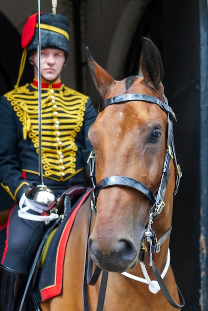 Los reyes de artillería a caballo real en Whitehall Londres