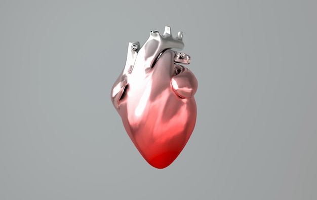 Órgano del corazón humano realista con arterias y aorta representación 3d