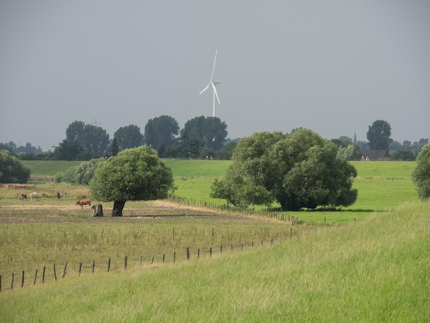 Rhein in der Nähe von Bislich