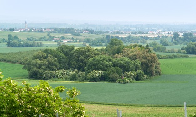 Rheinhessen