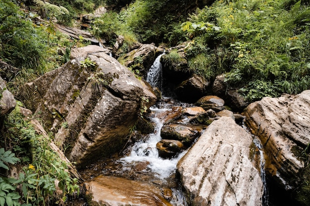 Riacho da montanha fluindo pela floresta de outono