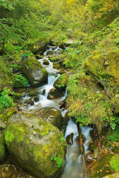 riacho de floresta de montanha com água doce