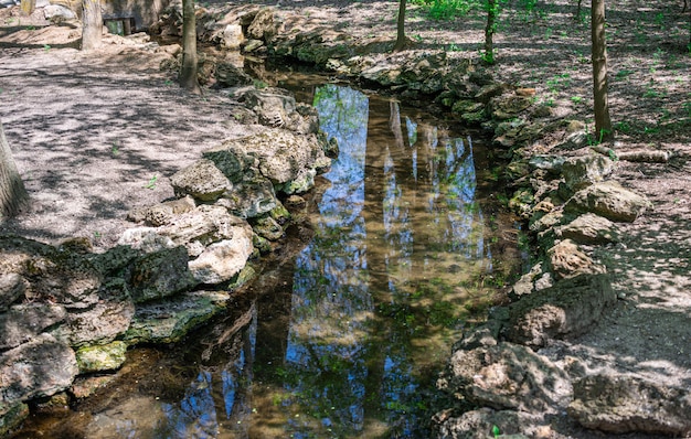Foto riacho de primavera no zoológico de askania-nova na ucrânia