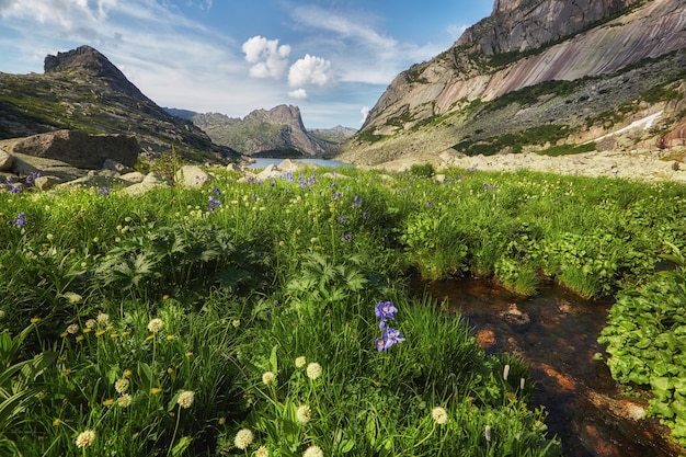 Riachos de montanha fabulosos, vegetação exuberante e flores ao redor. Água de nascente descongelada das montanhas