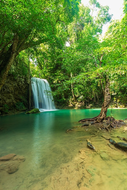 riachos e cachoeiras na florestaPanorâmica bela cachoeira de floresta profunda