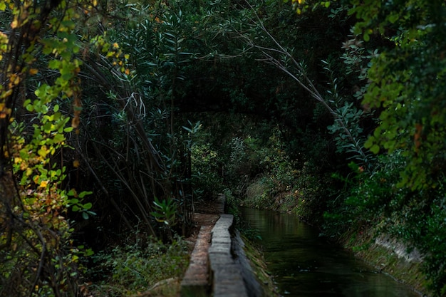 Riachuelo artificial en un canalón de hormigón entre la vegetación en la zona montañosa