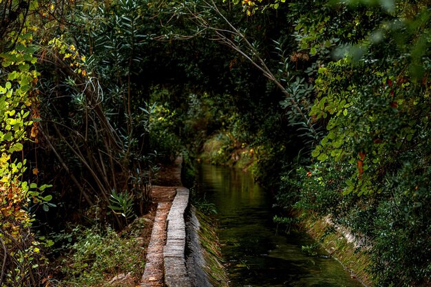 Riachuelo artificial de hormigón entre la vegetación en una zona montañosa