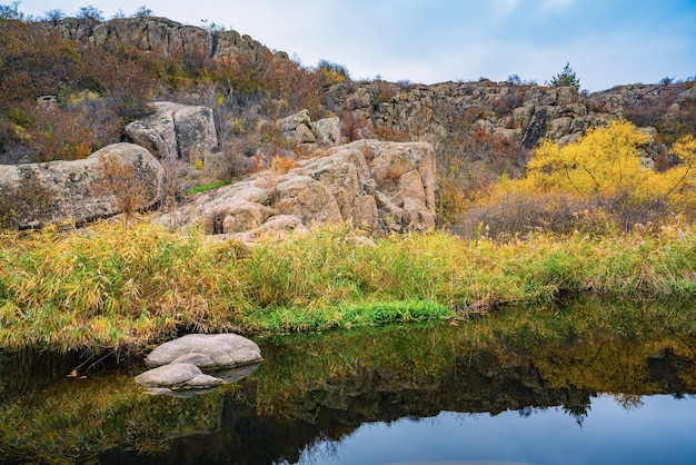 Un riachuelo rápido, poco profundo y limpio corre entre piedras grandes, lisas y húmedas rodeadas de grumos secos altos