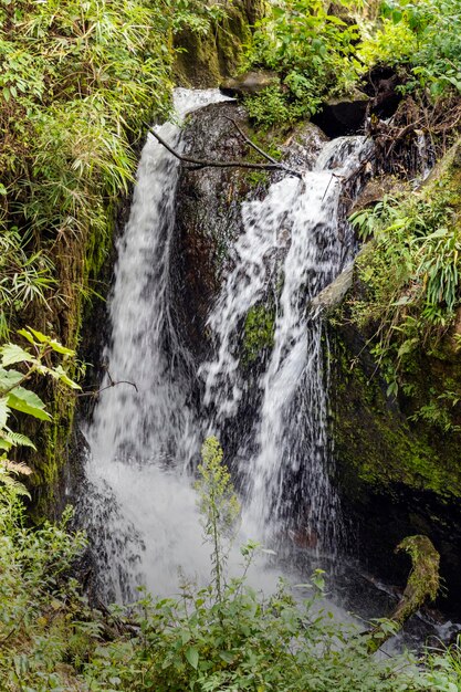 riachuelo, rio de agua cristalina en la cordillera de los andes, cascada natural