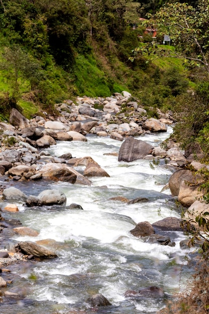 riachuelo, rio de agua cristalina en la cordillera de los andes, cascada natural