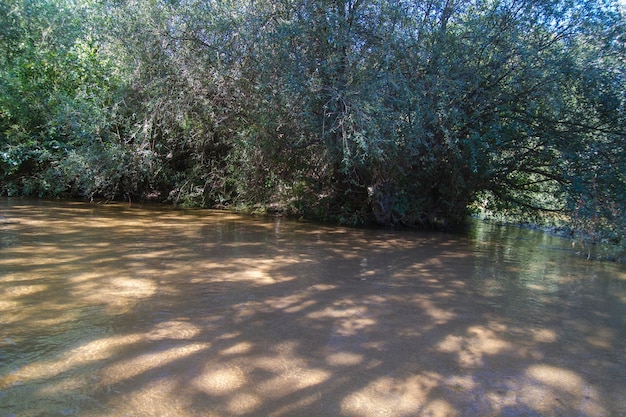 Ribera del alberche en Toledo, Castilla La Mancha, España