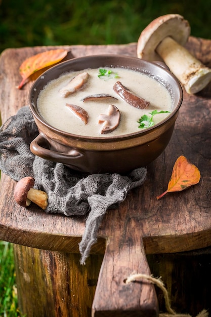 Rica crema de boletus con setas y perejil