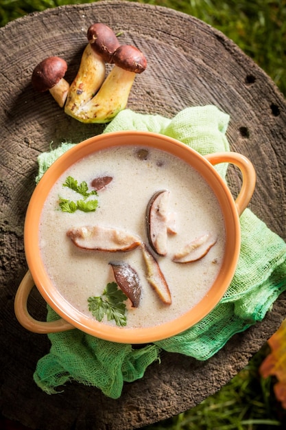 Rica sopa de champiñones hecha de hongos nobles