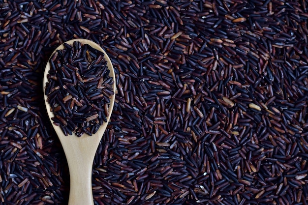 Riceberry (Reisbeere), die eine registrierte Reissorte von Thailand im hölzernen Löffel ist