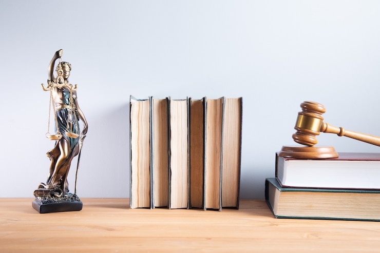 Foto richterin mit richterin in gesetzbüchern