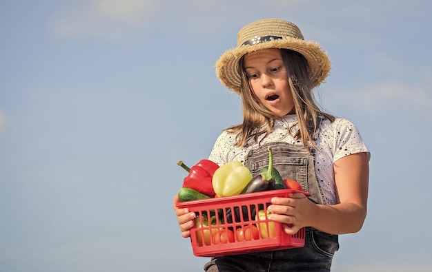 Richtige Ernährung Kind auf Sommerbauernhof Bio-Lebensmittelernte Vitamin Frühjahr Gärtnerei glücklicher kleiner Bauer Herbsternte gesunde Ernährung für Kinder kleines Mädchen Gemüse im Korb Nur natürlich