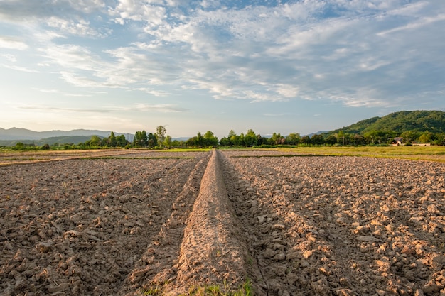 Ridge y arado para prepararse para la agricultura.Tierra y cielo nublado.